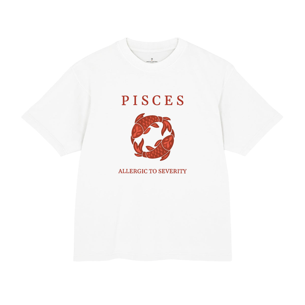Pisces Unisex Flagship Terracotta Tee