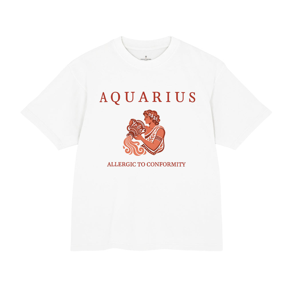 Aquarius Unisex Flagship Terracotta Tee