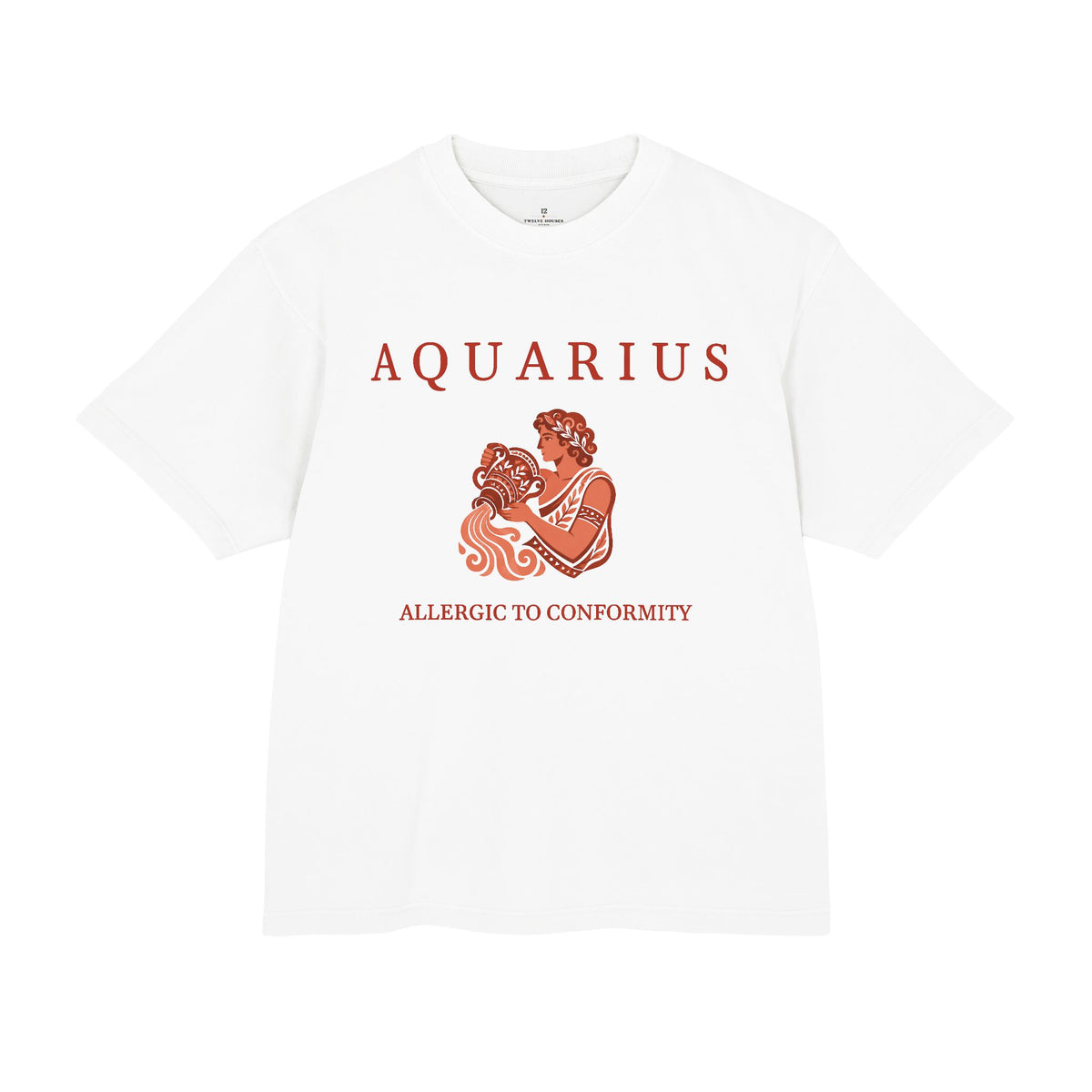 Aquarius Unisex Flagship Terracotta Tee