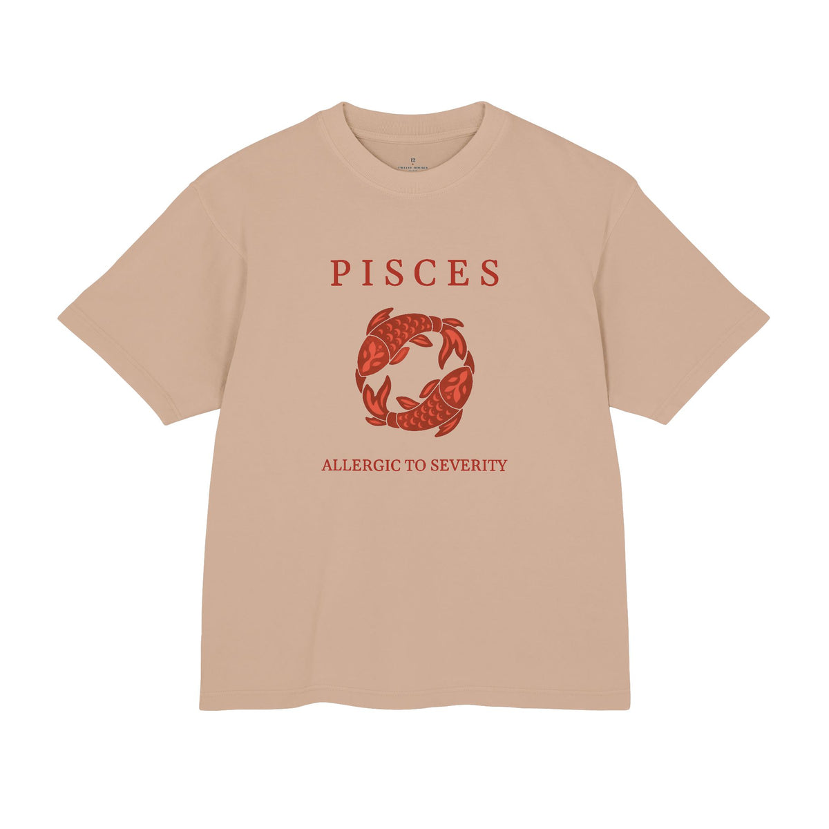 Pisces Unisex Flagship Terracotta Tee