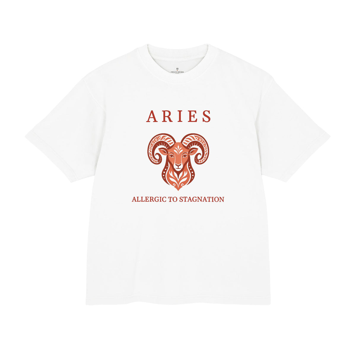 Aries Unisex Flagship Terracotta Tee