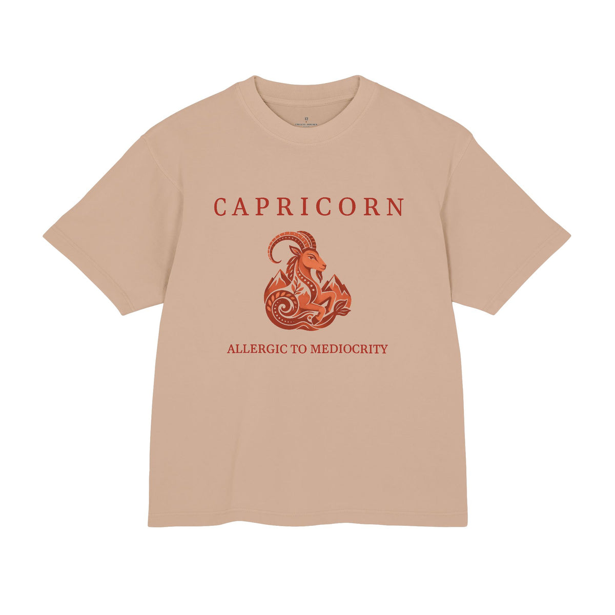 Capricorn Unisex Flagship Terracotta Tee