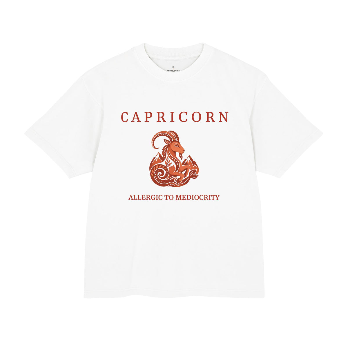 Capricorn Unisex Flagship Terracotta Tee