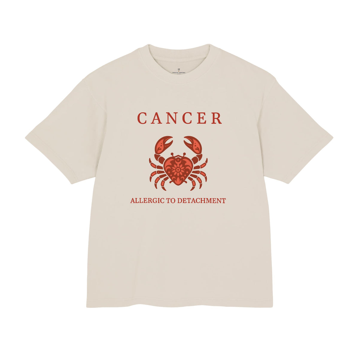 Cancer Unisex Flagship Terracotta Tee