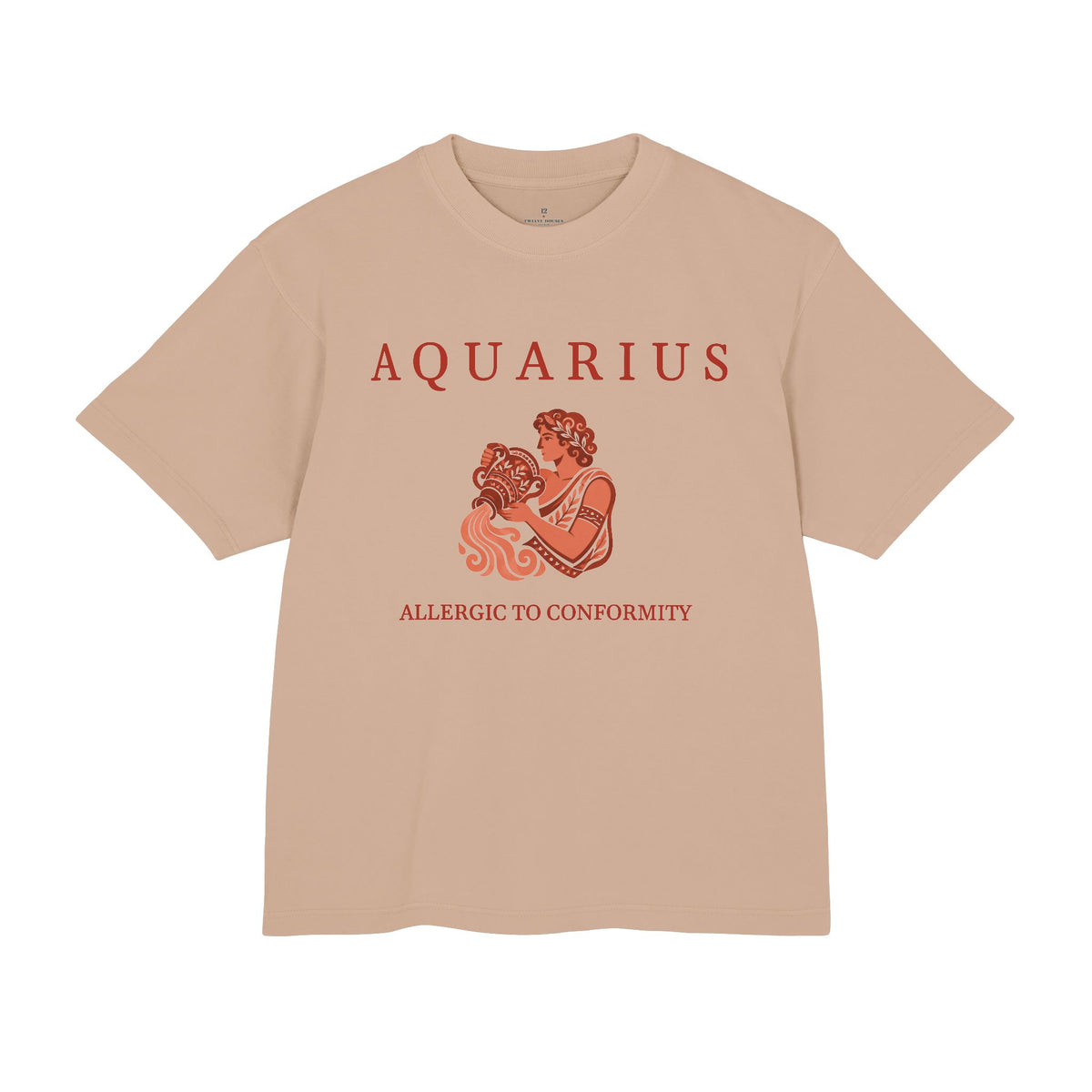 Aquarius Unisex Flagship Terracotta Tee