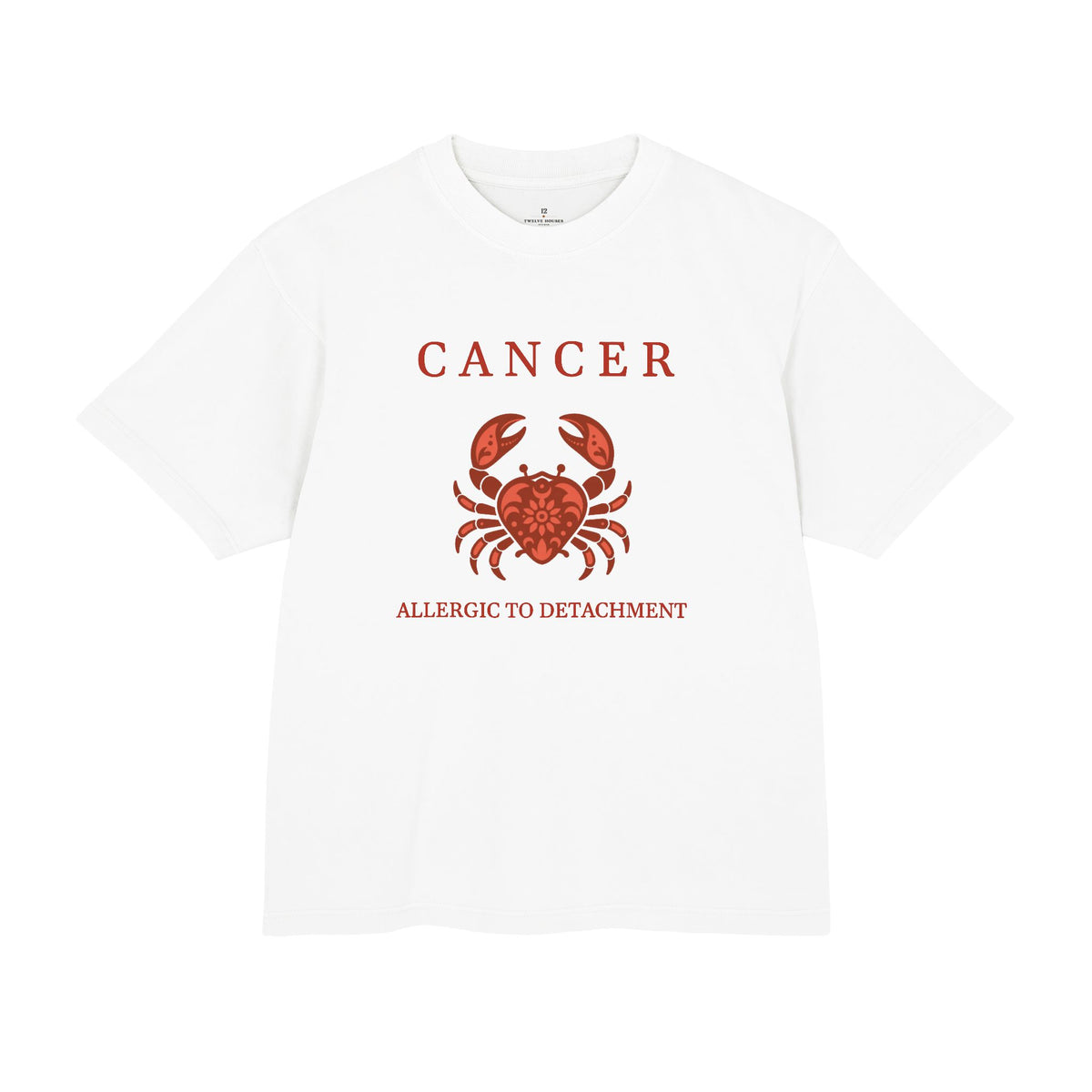 Cancer Unisex Flagship Terracotta Tee