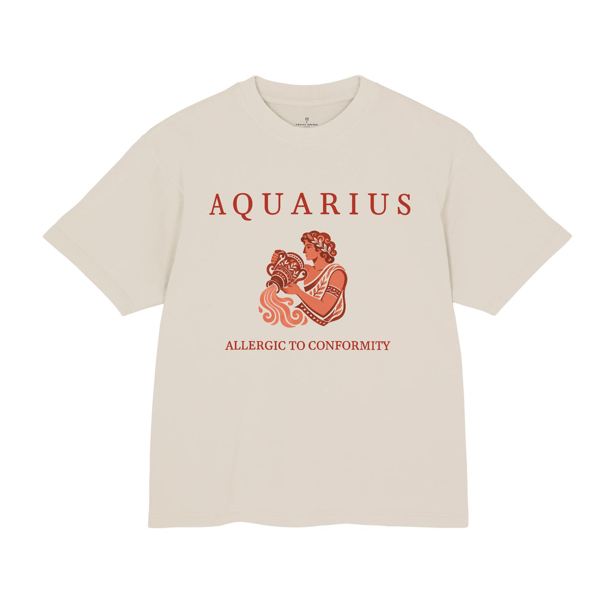 Aquarius Unisex Flagship Terracotta Tee
