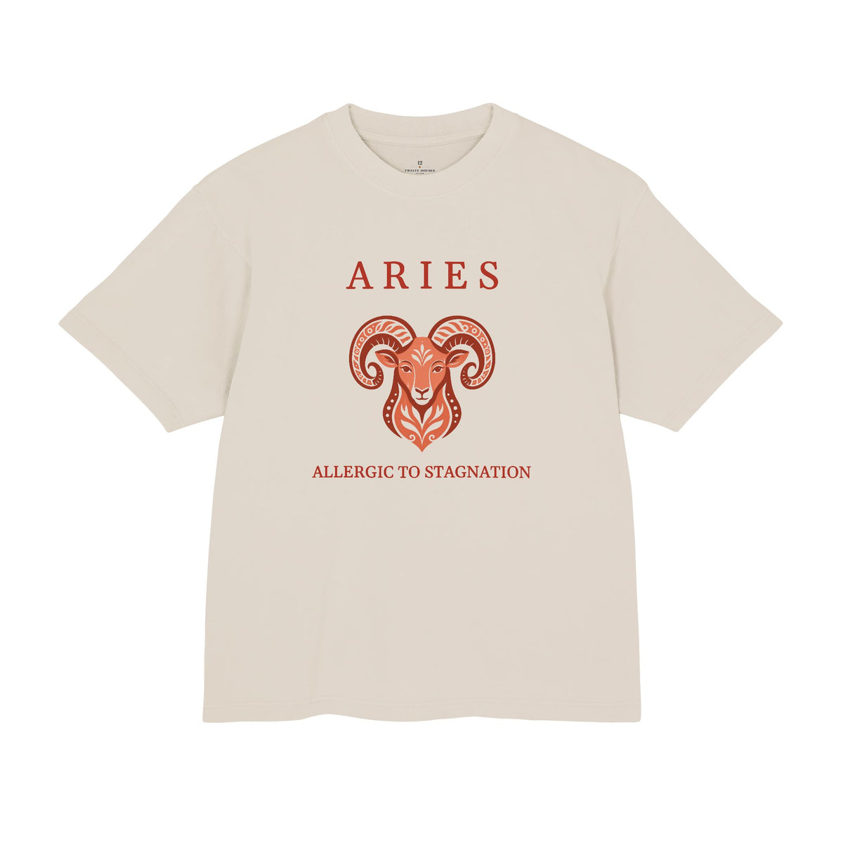 Aries Unisex Flagship Terracotta Tee