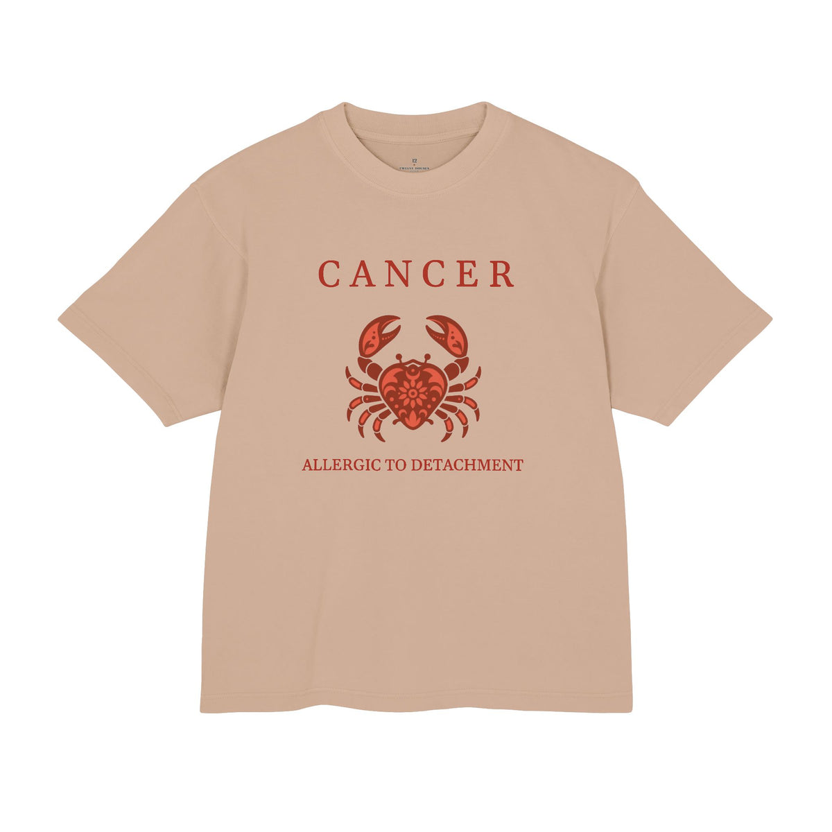 Cancer Unisex Flagship Terracotta Tee
