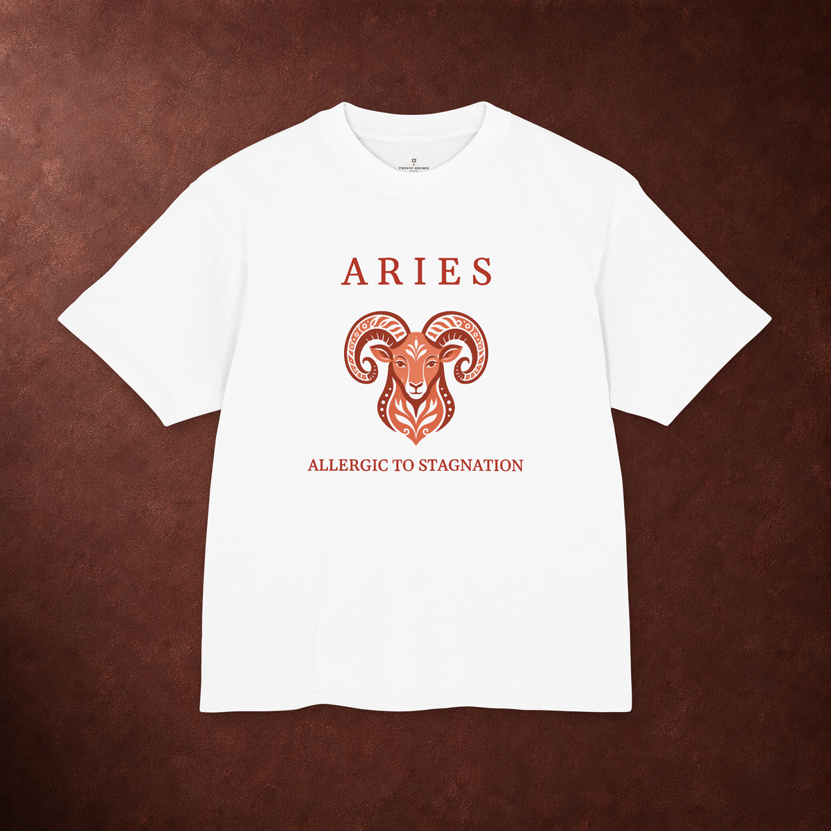 Aries Unisex Flagship Terracotta Tee